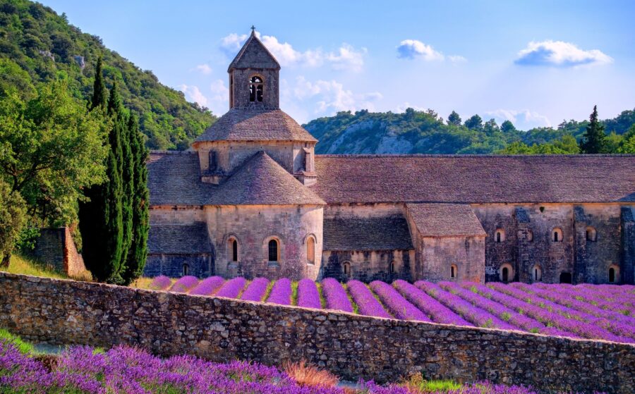 Tour PROVENZA e CAMARGUE – 26 agosto – 2 settembre 2023